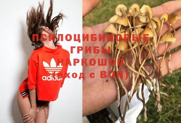 ALPHA PVP Горнозаводск